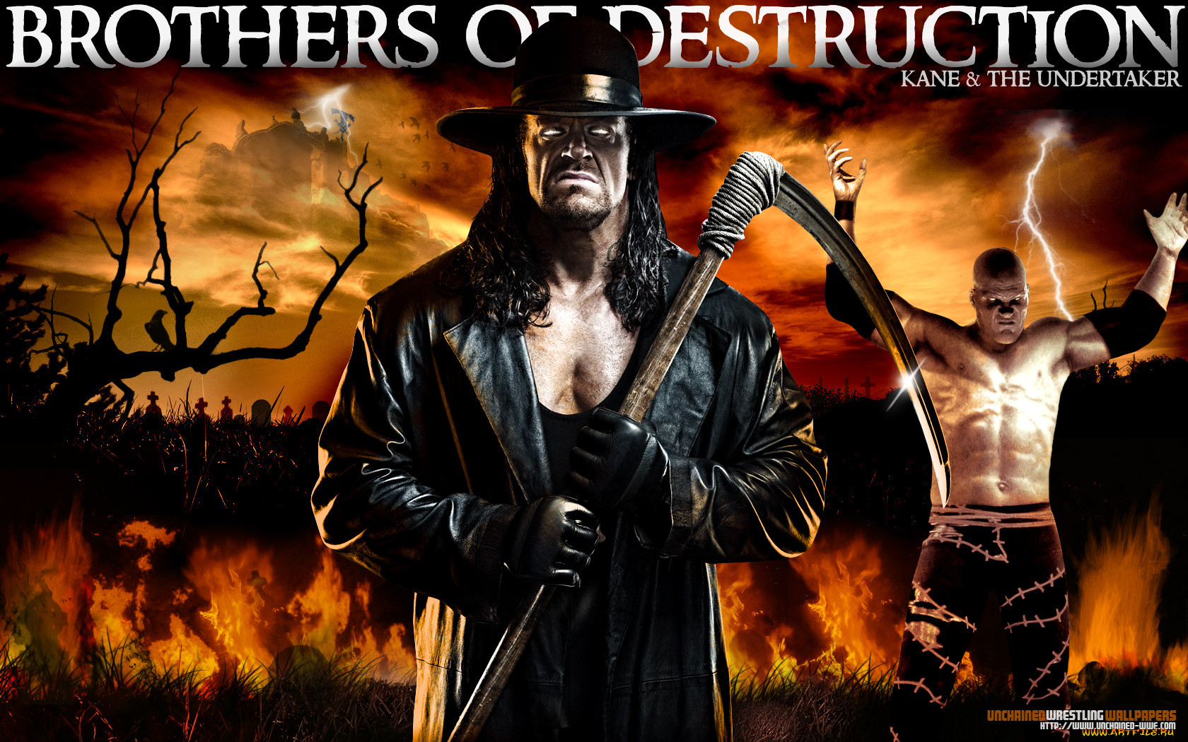 , wwe